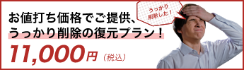 うっかり削除の復元プラン