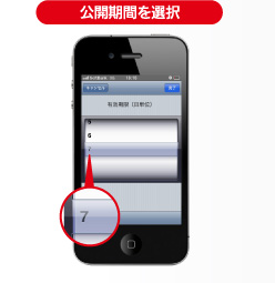 公開期間を選択