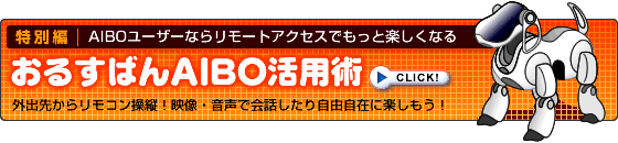 特別編|AIBOユーザーならリモートアクセスでもっと楽しくなる「おるすばんAIBO活用術」