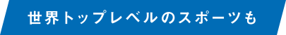 世界トップレベルのスポーツも