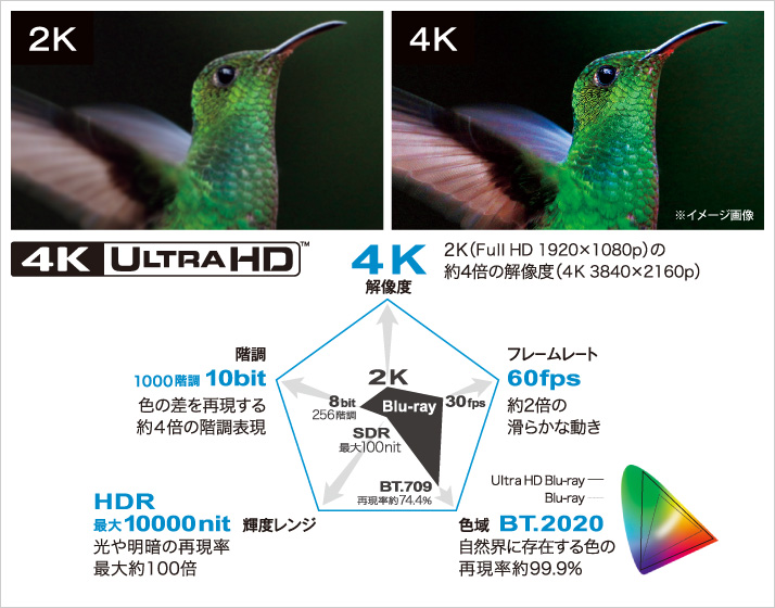 【日本限定モデル】 BUFFALO ポータブルブルーレイドライブ Ultra HD Blu-ray再生対応 BRUHD-PU3-BK16 470円