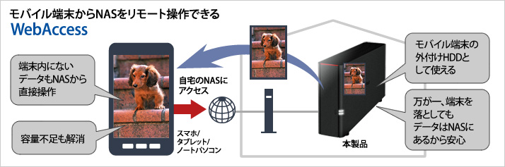 Ls210d01g ネットワーク対応hdd Nas Linkstation バッファロー