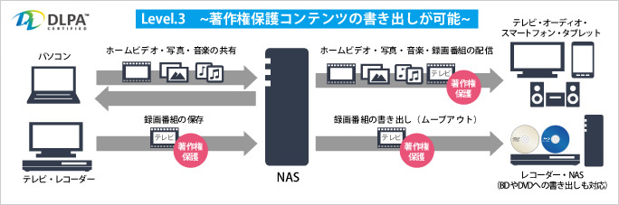 DLPA NAS Level.3