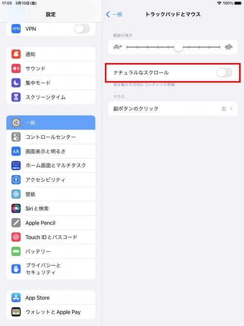 iPad設定画面