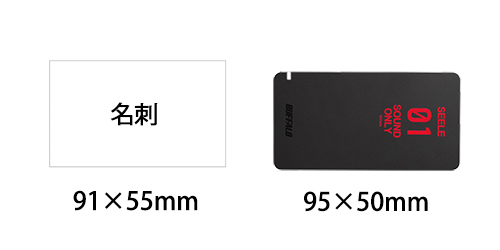 エヴァ BUFFALO SSD 480GB  SSD-PGM480U3/EV