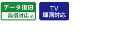 データ復旧、TV録画対応