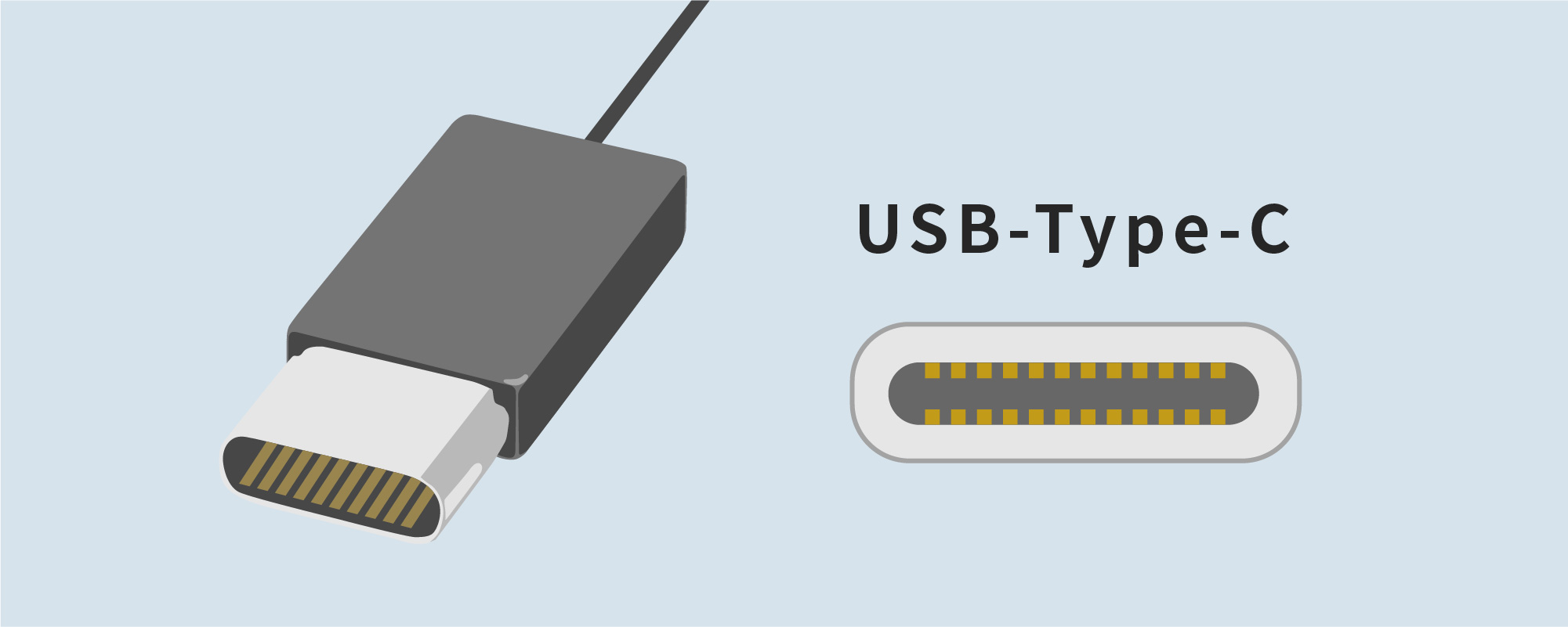 USB Type-Cコネクターとポート